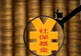 半年報(bào)露出社?；鸲径葎?dòng)向