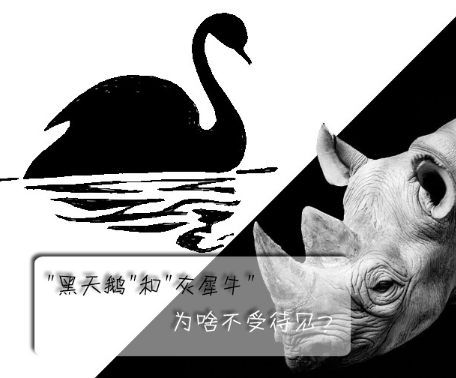 "黑天鵝"和"灰犀牛"為啥不受待見？