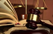 抓害群之馬，助金融改革一臂之力