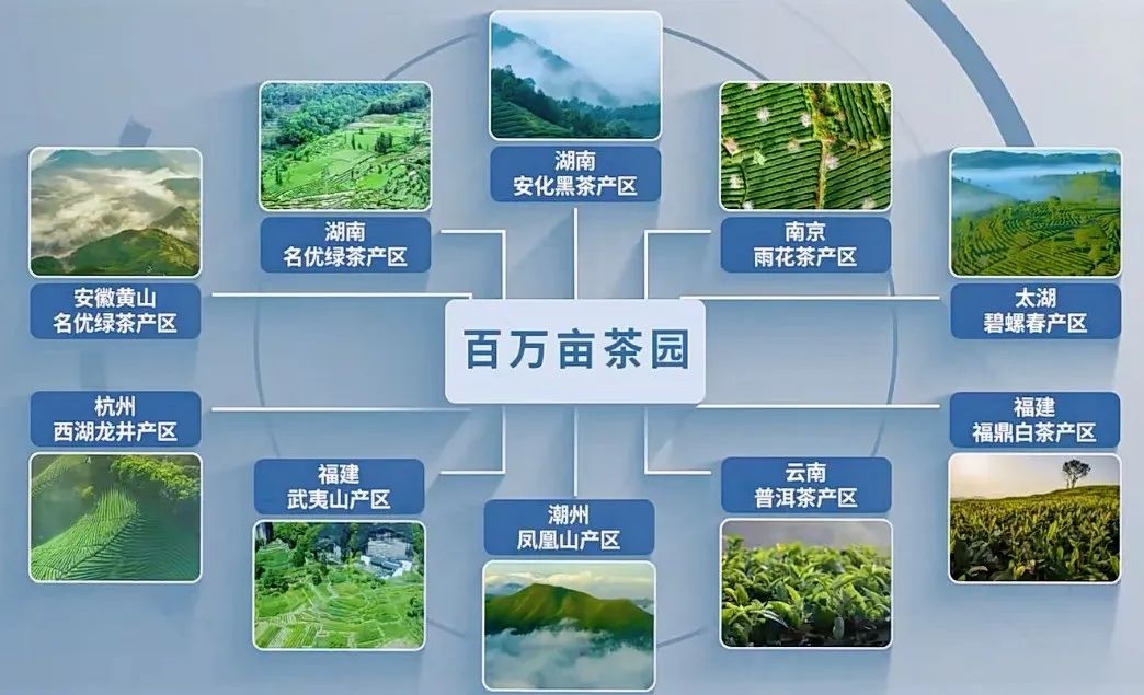 7月銀川這場(chǎng)盛會(huì)，或?qū)⒔沂鞠M(fèi)信心深層密碼