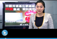 權威聲音：“快時代”究竟還有什么可以速成？