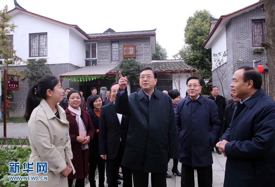 這是11月22日，張德江來到成都郫縣青杠樹村，了解村民委員會(huì)工作情況。 新華社記者 劉衛(wèi)兵 攝 