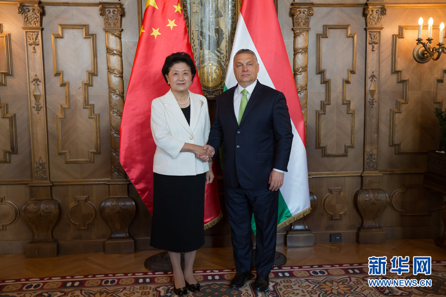  6月21日，國務(wù)院副總理劉延?xùn)|（左）在匈牙利布達佩斯國會大廈會見匈牙利總理歐爾班。 新華社發(fā)（弗爾季·奧蒂洛攝）