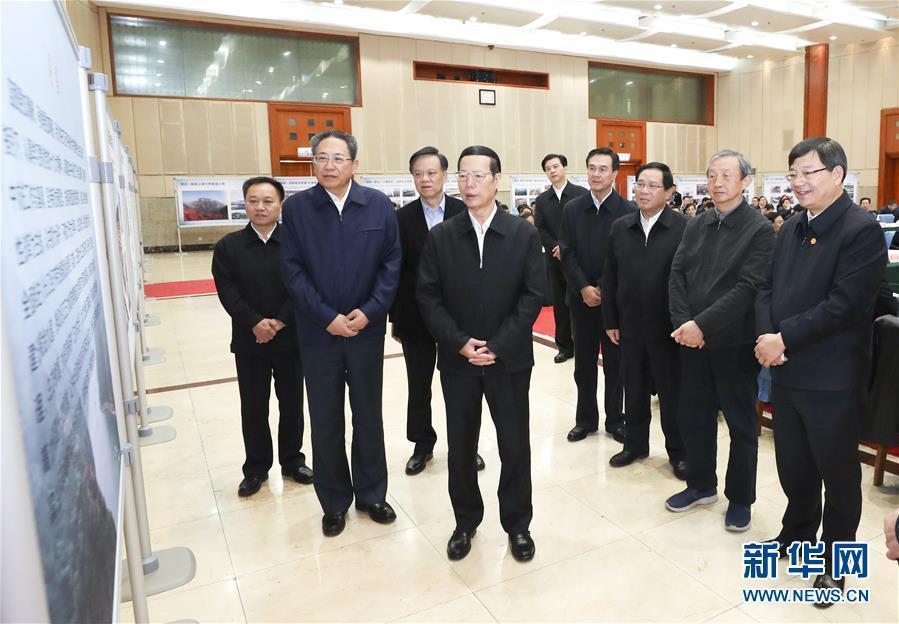 1月9日至10日，國務(wù)院副總理張高麗在安徽調(diào)研推動長江經(jīng)濟帶發(fā)展工作。這是1月10日，張高麗主持召開推動長江經(jīng)濟帶發(fā)展工作會議前聽取介紹。新華社記者 龐興雷 攝