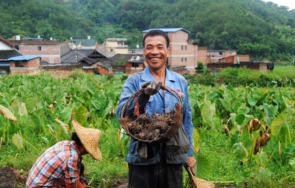 秋收的中國(guó)，你想象不到的美！但更美的是……