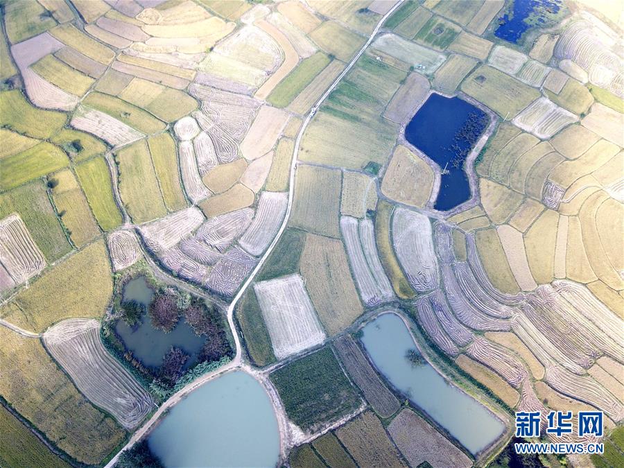 （新華全媒頭條·壯闊東方潮　奮進(jìn)新時代——慶祝改革開放40年·圖文互動）（2）小崗，與時代同行——“中國農(nóng)村改革第一村”40年變遷的改革啟示