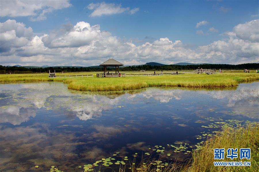 （新華全媒頭條·圖文互動(dòng)）（2）那一抹綠色，走進(jìn)越來(lái)越多人心里——河北塞罕壩續(xù)寫(xiě)新時(shí)代綠色傳奇
