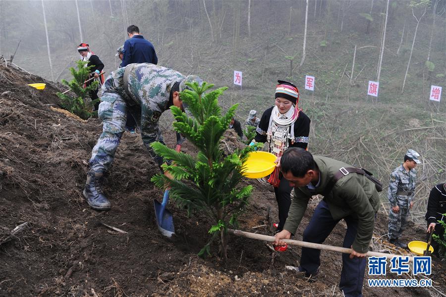 （圖文互動(dòng)）（6）和平年代，離死神最近的人——南部戰(zhàn)區(qū)陸軍云南掃雷大隊(duì)邊境掃雷排爆記事