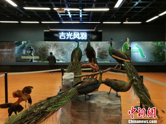 先有雞還是先有蛋？這個(gè)科普展覽有點(diǎn)“不一般”