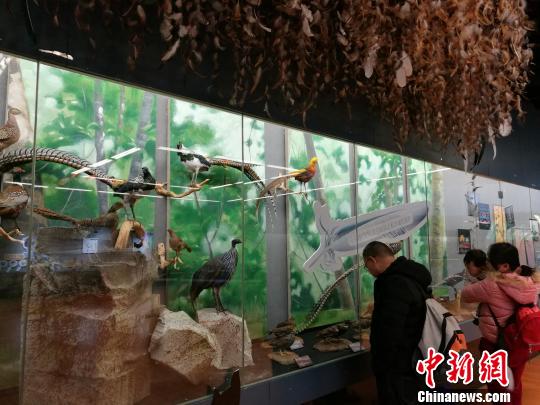 圖為展覽現(xiàn)場?！『h(yuǎn)航 攝