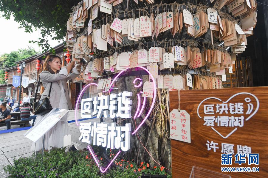 （新華全媒頭條·圖文互動(dòng)）（9）從“數(shù)字中國”看中國發(fā)展新信號、新亮點(diǎn)、新趨勢