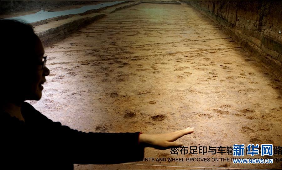 （新華全媒頭條·圖文互動）（6）“若問古今興廢事，請君只看洛陽城”——千年古都“烹制”博物館盛宴