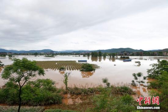 資料圖：湖南省臨武縣武水鎮(zhèn)、南強(qiáng)鎮(zhèn)、汾市鎮(zhèn)、水東鎮(zhèn)、金江鎮(zhèn)等鄉(xiāng)鎮(zhèn)遭遇特大暴雨襲擊，導(dǎo)致大量民房和農(nóng)田被淹。據(jù)不完全統(tǒng)計(jì)，該縣數(shù)千戶民房被淹，數(shù)十萬(wàn)畝農(nóng)田、果園、煙田被淹斷收，直接經(jīng)濟(jì)損失達(dá)數(shù)千萬(wàn)元。災(zāi)情發(fā)生后，當(dāng)?shù)卣跋嚓P(guān)部門(mén)第一時(shí)間奔赴受災(zāi)鄉(xiāng)鎮(zhèn)轉(zhuǎn)移群眾，察看災(zāi)情并積極組織村民排澇自救、發(fā)放救災(zāi)物資、開(kāi)展保險(xiǎn)理賠等工作。目前救災(zāi)工作正在有序進(jìn)行，無(wú)人員傷亡。唐盛歡 攝