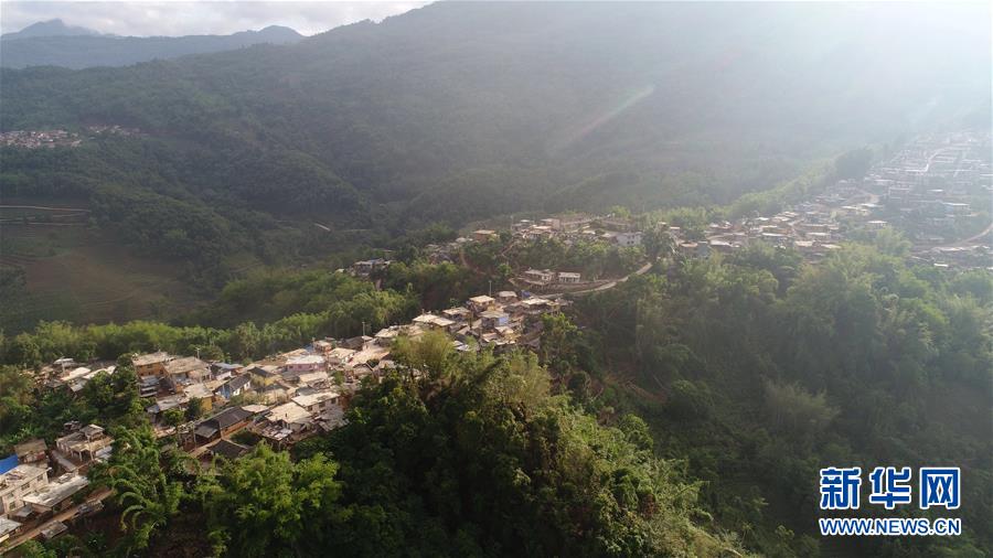 （直過(guò)民族脫貧攻堅(jiān)·圖文互動(dòng)）（1）又見(jiàn)白鷴鳥