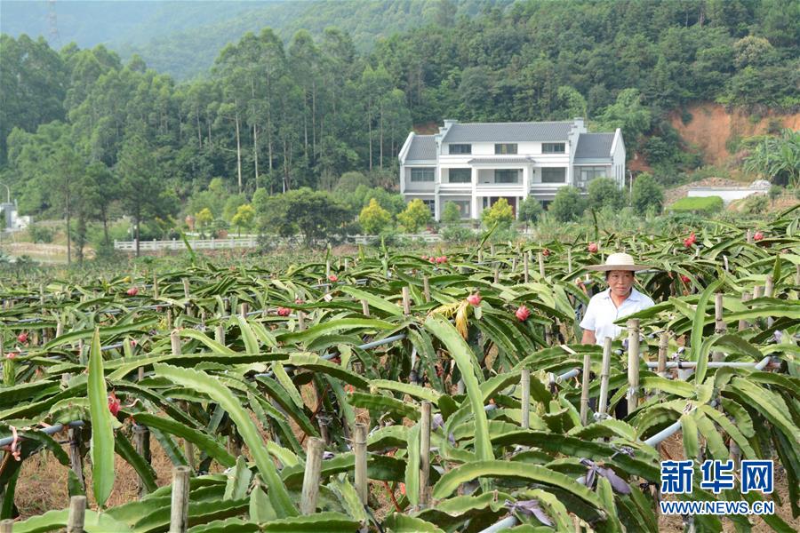 （在習(xí)近平新時代中國特色社會主義思想指引下——新時代新作為新篇章·總書記關(guān)心的百姓身邊事·圖文互動）（6）大污染變身“大寶藏”：治理畜禽糞污，他們這樣干！