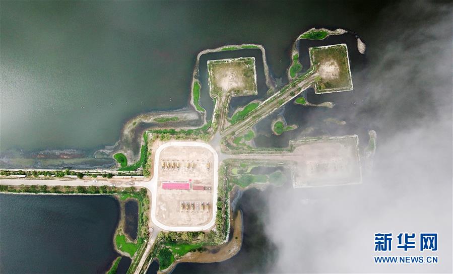 (圖文互動)(14)當(dāng)好標(biāo)桿旗幟 建設(shè)百年油田——寫在大慶油田發(fā)現(xiàn)60周年之際