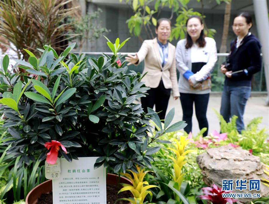 （圖文互動(dòng)）（1）北京世園會200余個(gè)特有珍稀植物品種搬入北京植物園