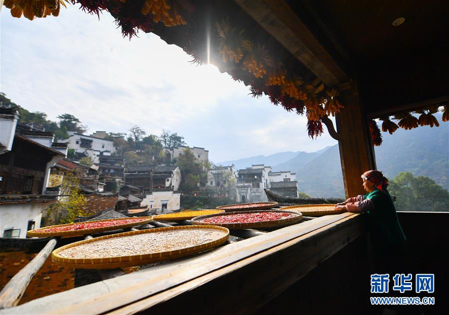 （圖文互動）（5）鄉(xiāng)村攝影師、鄉(xiāng)村“模特”、民宿店主——鄉(xiāng)村旅游推動婺源農(nóng)民生活方式發(fā)生新變化
