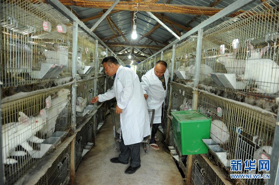 （新華全媒頭條·圖文互動）（4）干部去哪兒了？——貴州干部大規(guī)模下沉脫貧攻堅一線紀(jì)實