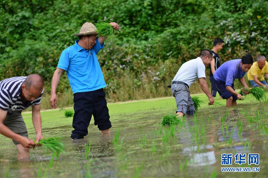 （新華全媒頭條·圖文互動）（8）干部去哪兒了？——貴州干部大規(guī)模下沉脫貧攻堅一線紀(jì)實