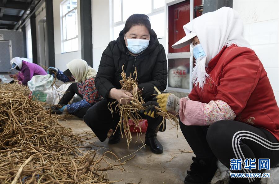 （新華全媒頭條·圖文互動）（2）特殊時期，他們這樣履職——全國人大代表這個春天在行動