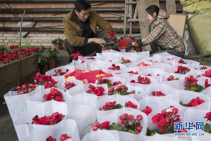 （在習(xí)近平新時(shí)代中國特色社會(huì)主義思想指引下——新時(shí)代新作為新篇章·習(xí)近平總書記關(guān)切事·圖文互動(dòng)）（1）希望的田野，希望的春天——各地農(nóng)業(yè)生產(chǎn)新動(dòng)態(tài)掃描