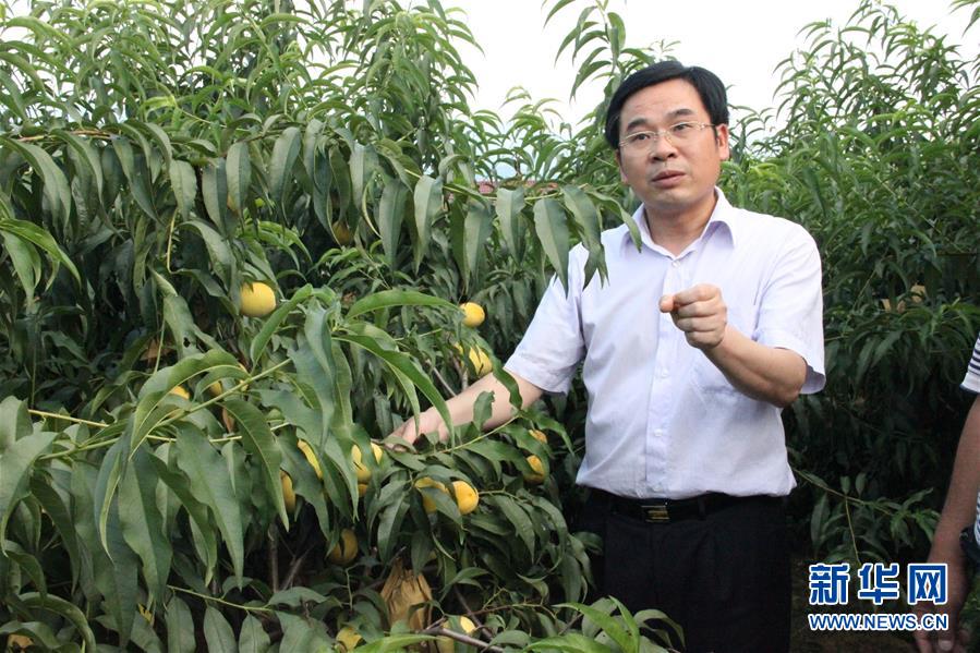 （圖文互動(dòng)）（2）“為脫貧而來(lái)，為脫貧而去”——追記湖南炎陵縣委原書(shū)記黃詩(shī)燕 