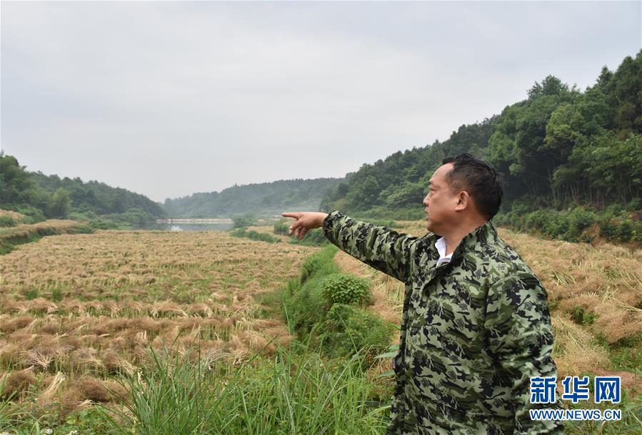（代表委員履職·圖文互動）（2）“我是農民代表，始終關注農村”——全國人大代表沈昌健的履職故事