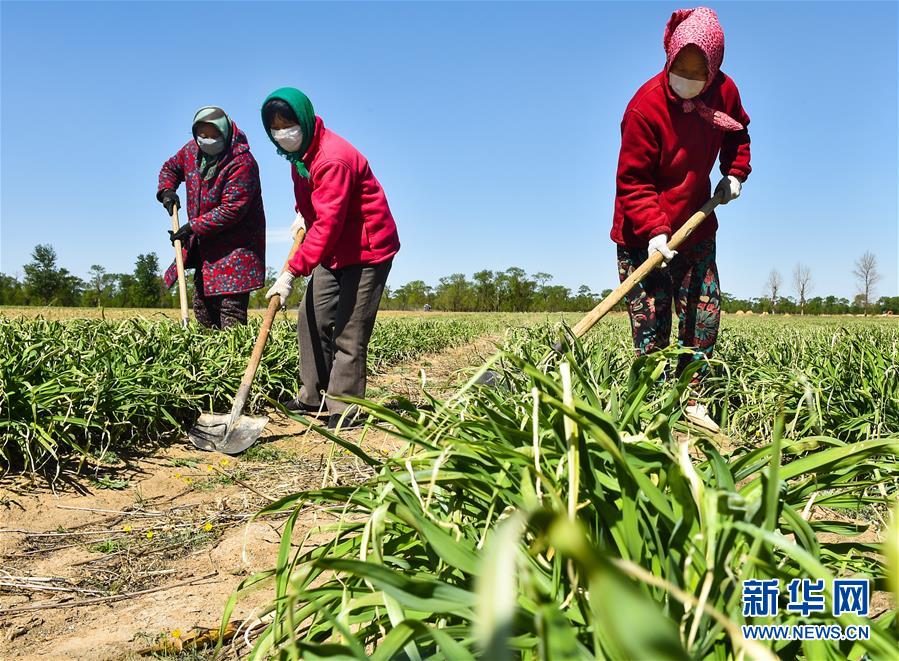 （新華全媒頭條·圖文互動(dòng)）（17）從人民中汲取磅礴力量——習(xí)近平總書記同出席2020年全國(guó)兩會(huì)人大代表、政協(xié)委員共商國(guó)是紀(jì)實(shí)