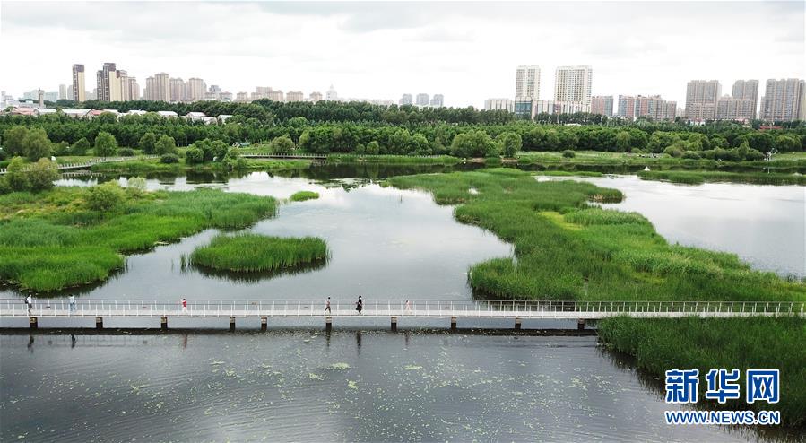 （走向我們的小康生活·圖文互動(dòng)）（1）水清、地綠、空氣新——最北省份黑龍江繪就生態(tài)治理新畫(huà)卷