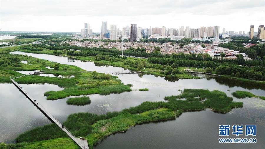 （走向我們的小康生活·圖文互動(dòng)）（2）水清、地綠、空氣新——最北省份黑龍江繪就生態(tài)治理新畫(huà)卷