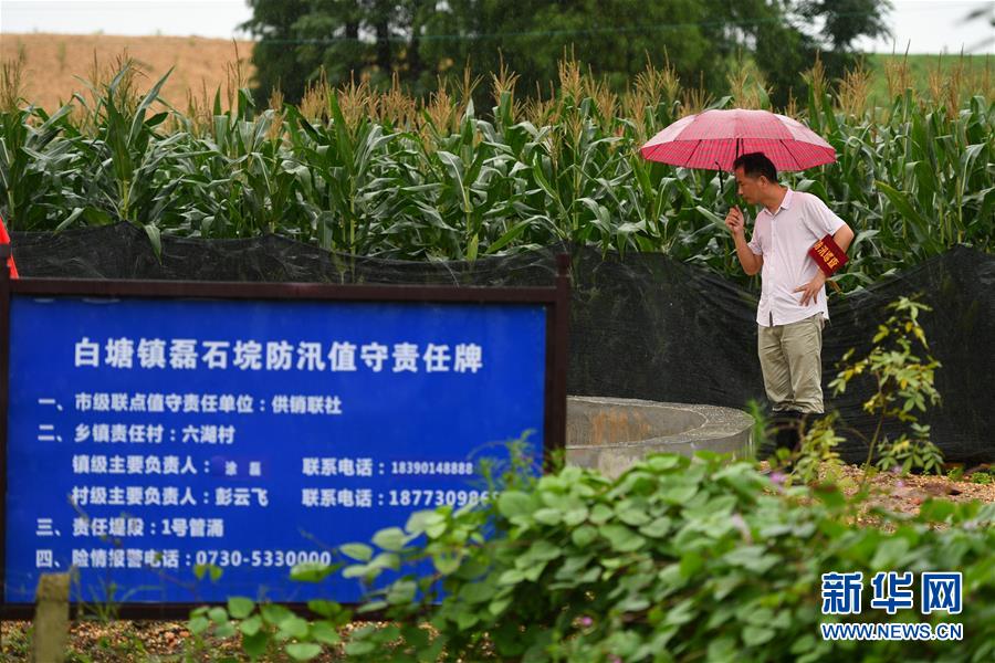 （防汛抗洪·圖文互動(dòng)）（1）“險(xiǎn)情不可怕，可怕的是不能及時(shí)發(fā)現(xiàn)險(xiǎn)情”——洞庭湖巡堤查險(xiǎn)現(xiàn)場(chǎng)直擊