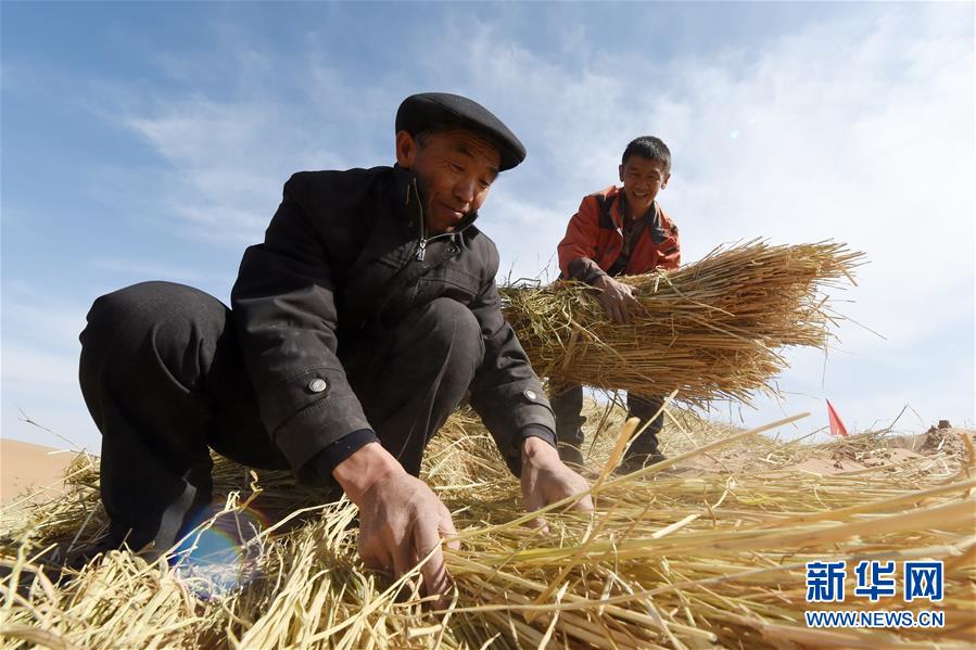 （在習(xí)近平新時代中國特色社會主義思想指引下——新時代新作為新篇章·習(xí)近平總書記關(guān)切事·圖文互動）（5）綠色映底蘊，山水見初心——生態(tài)優(yōu)先、綠色發(fā)展持續(xù)造福群眾美好生活