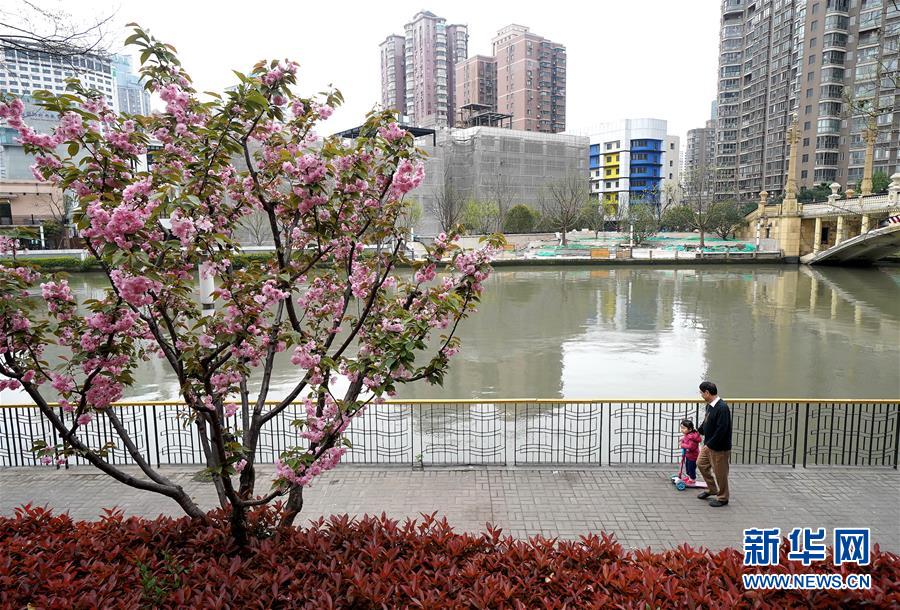 （新華全媒頭條·走向我們的小康生活·圖文互動(dòng)）（12）城市，讓人民生活更美好