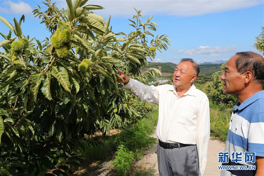 （新華全媒頭條·走向我們的小康生活·圖文互動）（11）長城腳下，小康村串成“珍珠鏈”