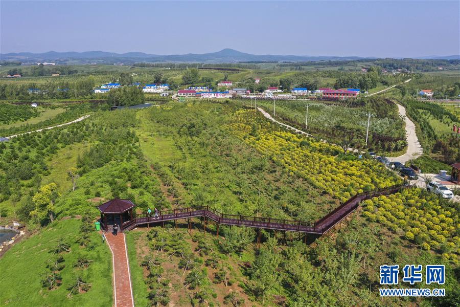（新華全媒頭條·走向我們的小康生活·圖文互動(dòng)）（16）黑土地上是我家——在吉林，一瞥中國(guó)東北鄉(xiāng)村美麗未來