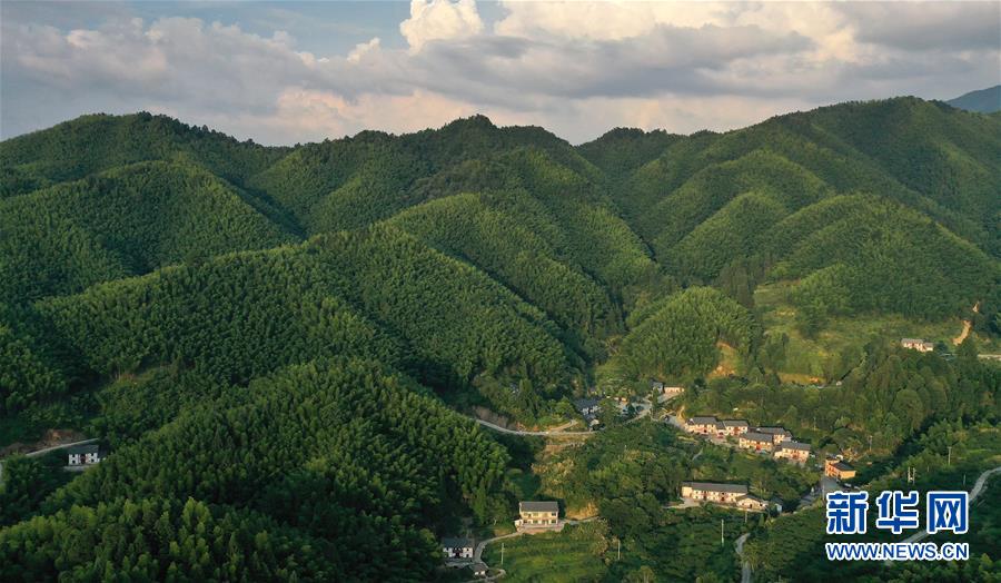 （新華全媒頭條·走向我們的小康生活·圖文互動）（2）神山村“神奇”何在？——井岡山深處覓答案