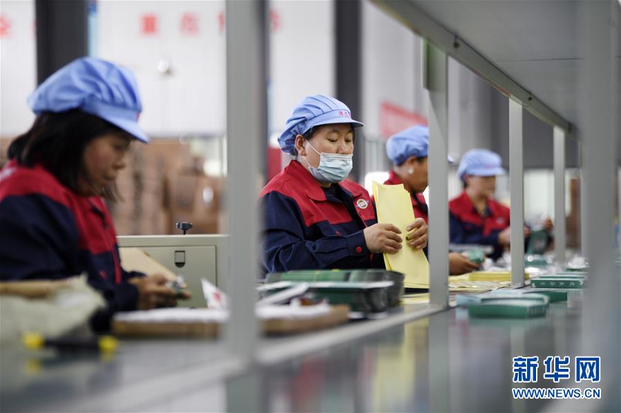 （在習(xí)近平新時代中國特色社會主義思想指引下——新時代新作為新篇章·習(xí)近平總書記關(guān)切事·圖文互動）（1）“綠色銀行”發(fā)工資、“股東”分紅來敲門……——探索長效脫貧致富新機制見聞