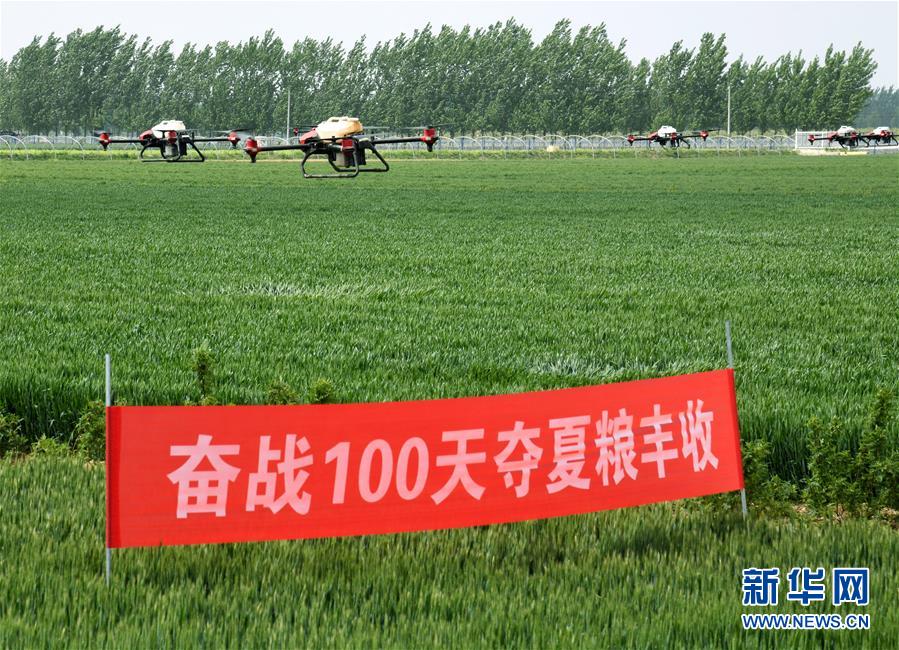 （在習(xí)近平新時代中國特色社會主義思想指引下——新時代新作為新篇章·習(xí)近平總書記關(guān)切事·圖文互動）（9）新農(nóng)事、新希望——夏收前田間新動態(tài)掃描