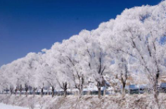全國初雪時間表出爐 看看你離初雪還有多遠(yuǎn)？