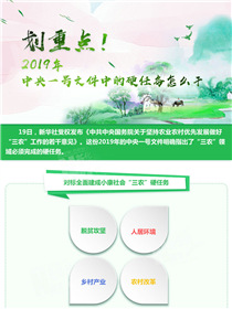 劃重點(diǎn)！2019年中央一號(hào)文件中的硬任務(wù)怎么干
