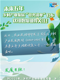 未來(lái)五年鄉(xiāng)村產(chǎn)業(yè)發(fā)展“任務(wù)清單”公布 這組數(shù)據(jù)值得關(guān)注！