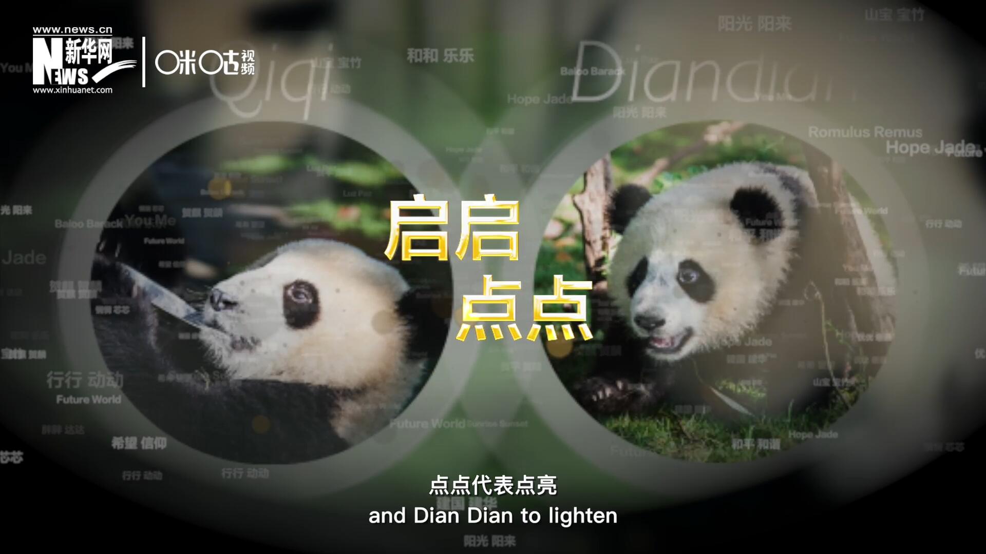 啟啟代表“啟發(fā)”，點(diǎn)點(diǎn)代表“點(diǎn)亮”，象征著2030年可持續(xù)發(fā)展議程 的“起點(diǎn)”，也象征著全球可持續(xù)發(fā)展路徑的新起點(diǎn)。