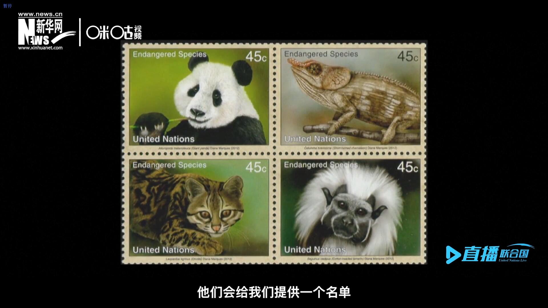 CITES（瀕危野生動植物種國際貿(mào)易公約）會給聯(lián)合國郵政設(shè)計(jì)師提供一個名單，雙方共同合作在附錄中找到名單中應(yīng)該受到關(guān)注的動物。