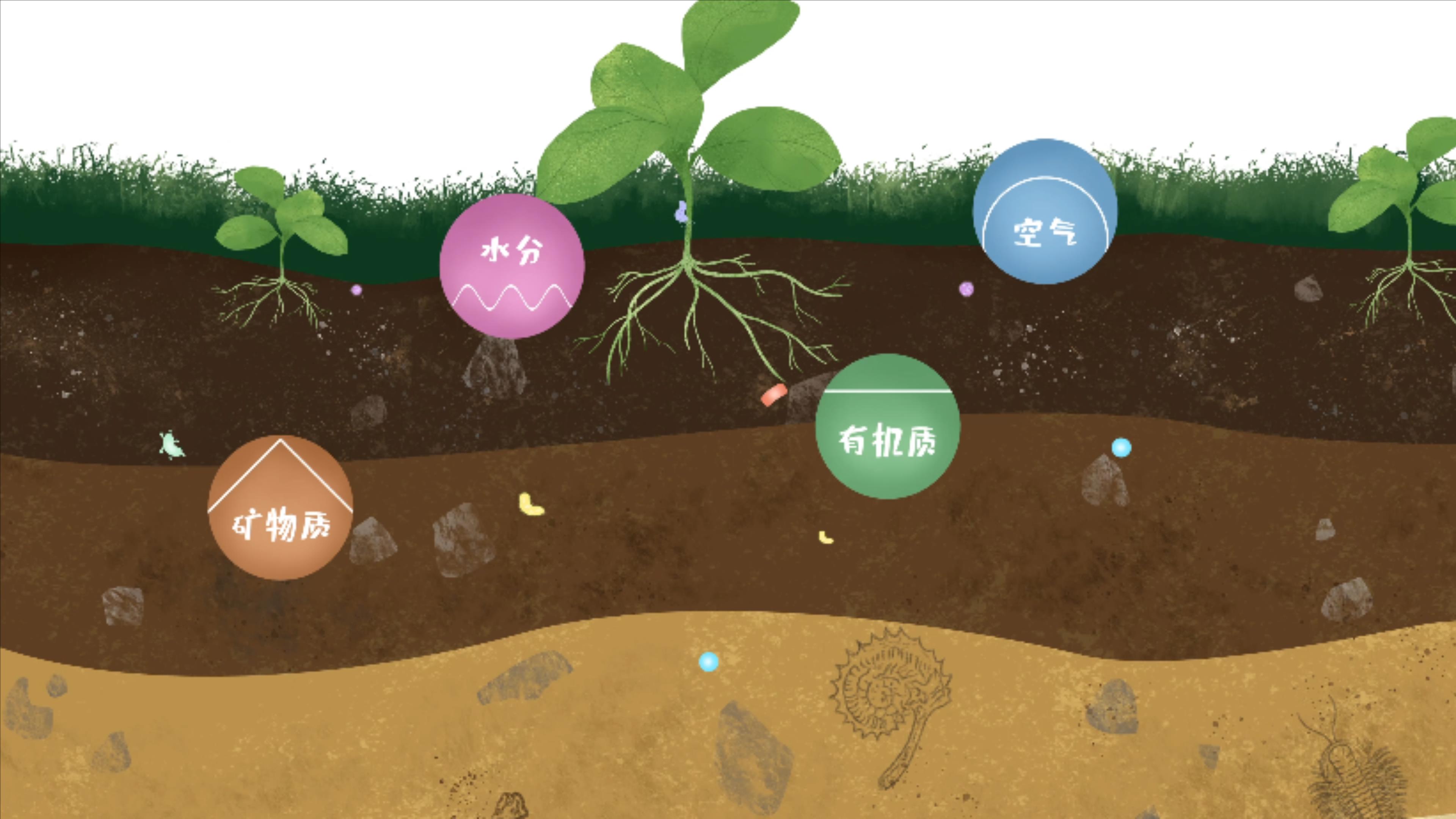 土壤由礦物質(zhì)、有機(jī)質(zhì)、水分、空氣及包括微生物在內(nèi)的生物體等組成