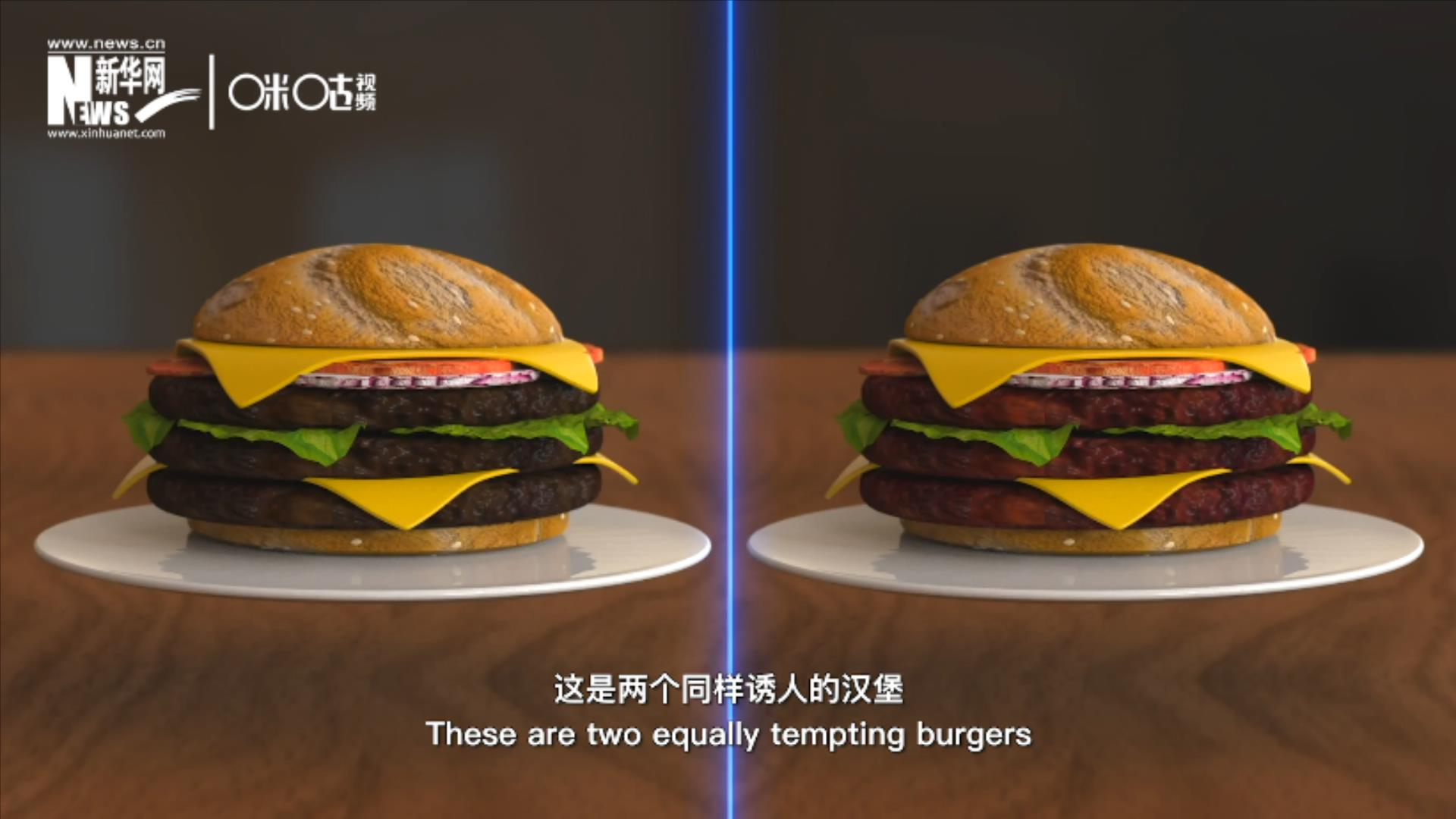 人造肉漢堡能在生產(chǎn)過(guò)程中節(jié)約水、土地、排放以及能量