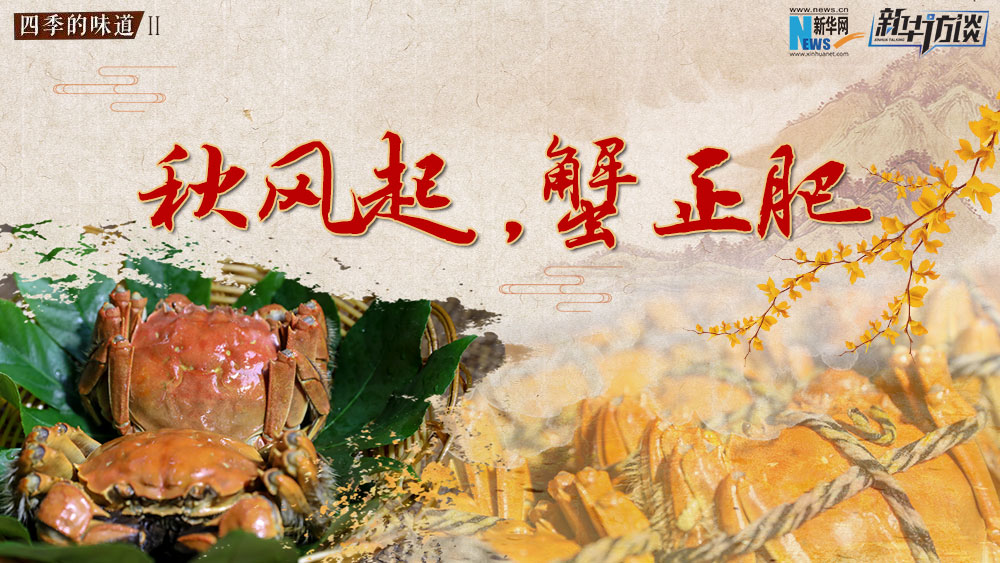 秋風起，蟹正肥