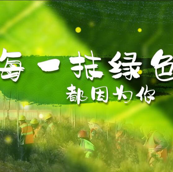 千年秀林，每一抹綠色都因為你