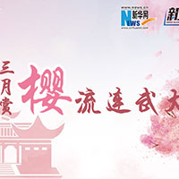 三月賞櫻，流連武大