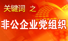 王京清：非公企業(yè)建立黨組織服務(wù)企業(yè)發(fā)展、服務(wù)員工